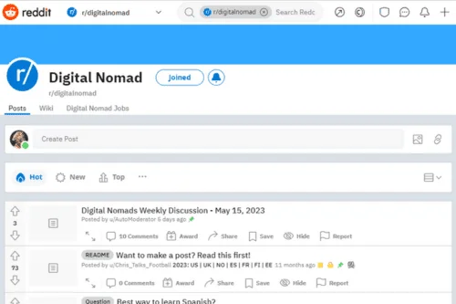 Screenshot of the Reddit digital nomad community