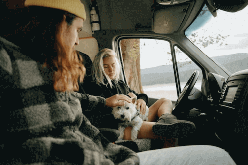 Car Travel Tips for Dogs