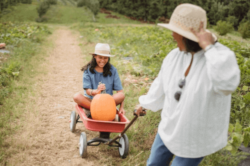 Working on an organic farm WWOOFING