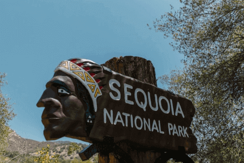Sequoia National Park - Best destination to travel in September